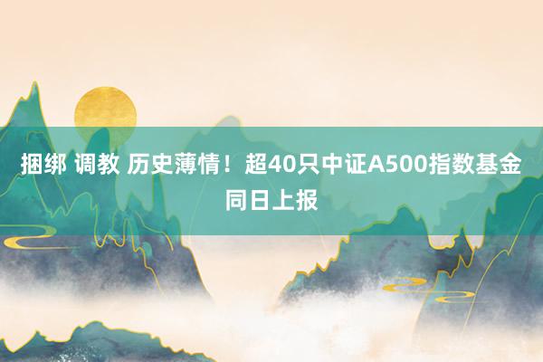 捆绑 调教 历史薄情！超40只中证A500指数基金同日上报