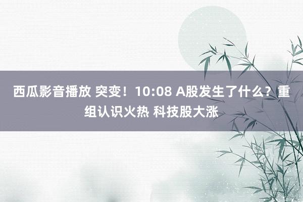 西瓜影音播放 突变！10:08 A股发生了什么？重组认识火热 科技股大涨