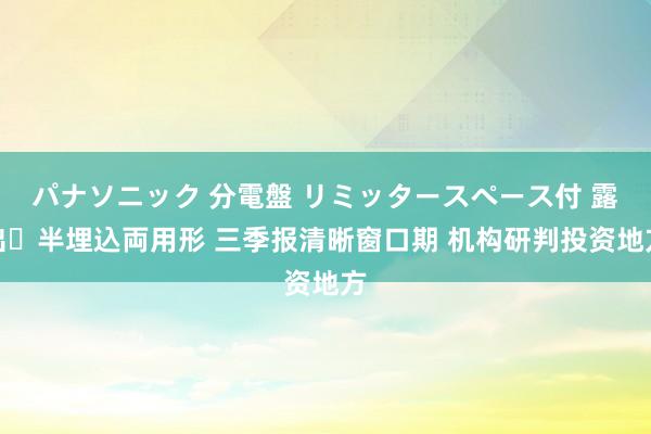 パナソニック 分電盤 リミッタースペース付 露出・半埋込両用形 三季报清晰窗口期 机构研判投资地方