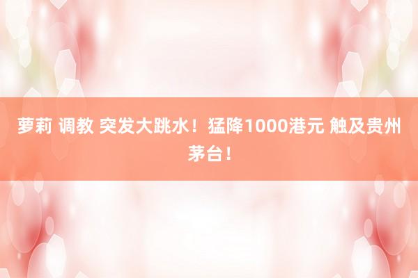 萝莉 调教 突发大跳水！猛降1000港元 触及贵州茅台！