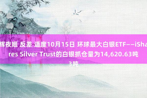 辉夜姬 反差 适度10月15日 环球最大白银ETF——iShares Silver Trust的白银抓仓量为14，620.63吨