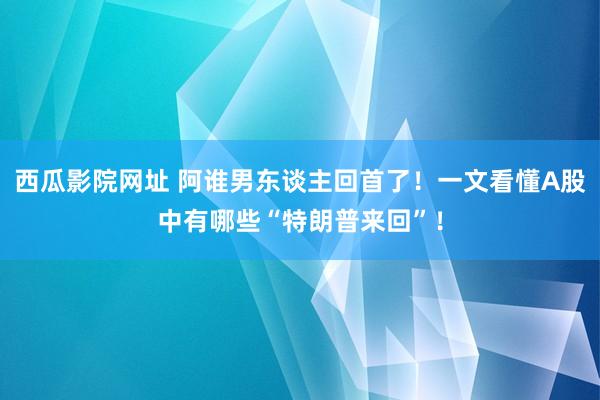 西瓜影院网址 阿谁男东谈主回首了！一文看懂A股中有哪些“特朗普来回”！