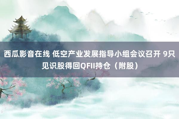 西瓜影音在线 低空产业发展指导小组会议召开 9只见识股得回QFII持仓（附股）