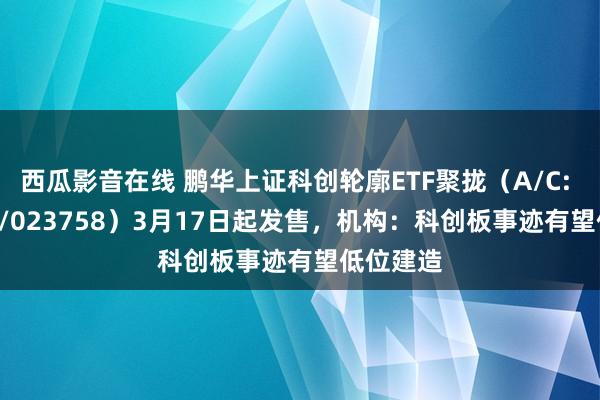 西瓜影音在线 鹏华上证科创轮廓ETF聚拢（A/C: 023757/023758）3月17日起发售，机构：科创板事迹有望低位建造