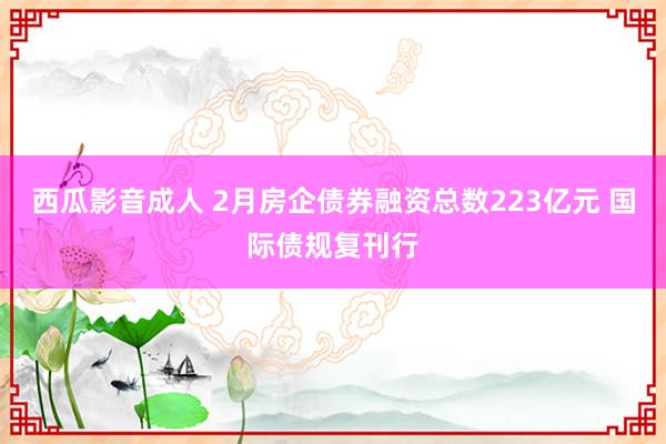 西瓜影音成人 2月房企债券融资总数223亿元 国际债规复刊行