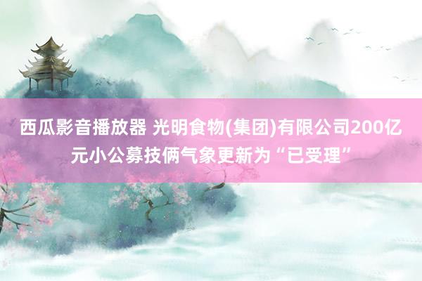 西瓜影音播放器 光明食物(集团)有限公司200亿元小公募技俩气象更新为“已受理”