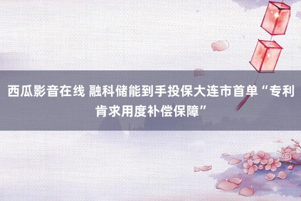 西瓜影音在线 融科储能到手投保大连市首单“专利肯求用度补偿保障”